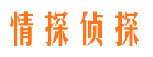 岳麓市婚姻调查